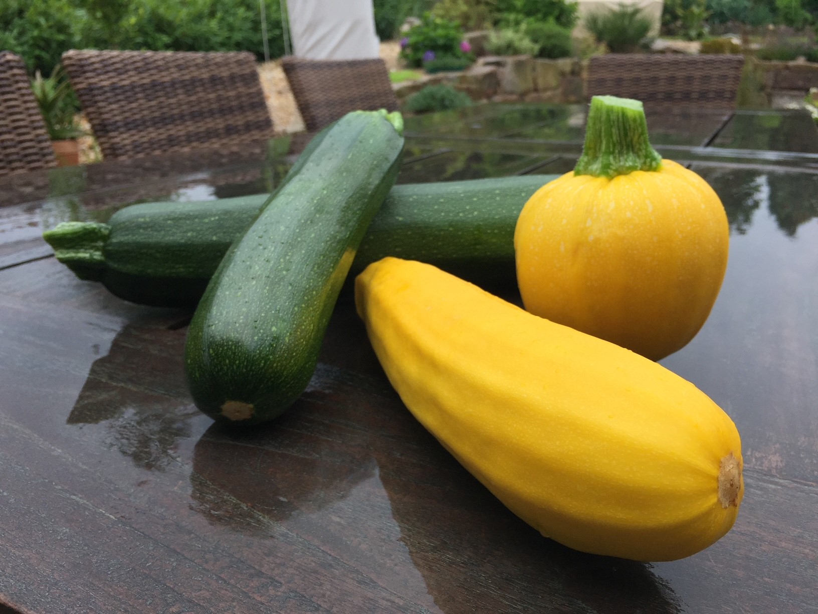 Wenn selbstgezogene Zucchinis plötzlich giftig sind Dein Pflanzenfreund